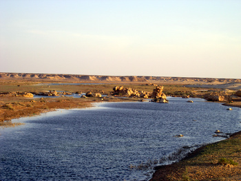 Naturreservat der Feuchtgebiete