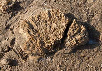 Réserve de zones humides