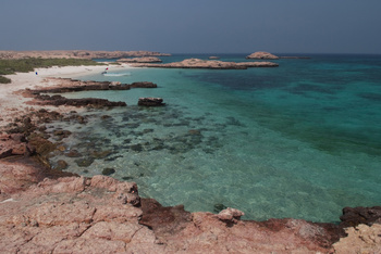 Naturreservat Daymaniyat Inseln