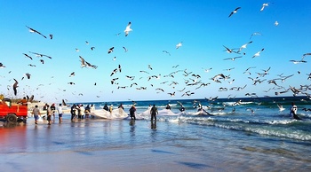 Recursos pesqueros