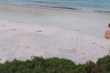 Réserve naturelle des îles Dimaniyat