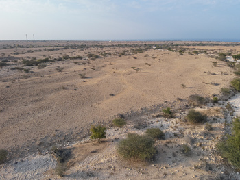 Réserve de Ras Al Shajar – Qurayat