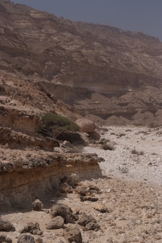 Naturreservat Jabal Samhan