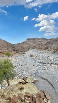 Naturreservat Al Sareen