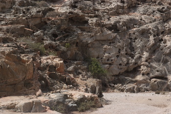 Naturreservat Jabal Samhan