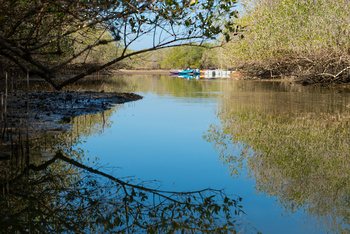 Reserva Natural de Al Qurm