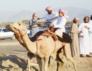 Caballos y Camellos