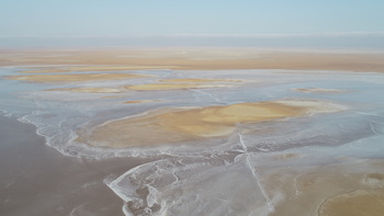 Réserve de zones humides