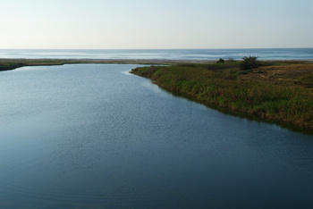 Reserva de Khor Al Baleed