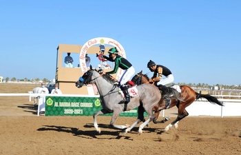 Caballos y Camellos