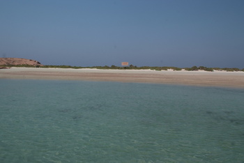 Reserva Natural de las Islas Daymaniyat