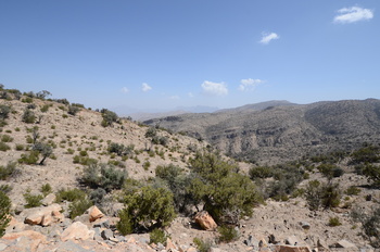 Reserva de Al Jabal Al Akhdar para Paisajes Naturales 