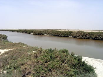 Naturreservat der Feuchtgebiete