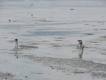 Naturreservat der Feuchtgebiete