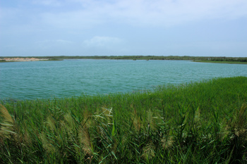 Réserve de Khor Taqah