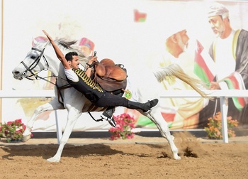 Caballos y Camellos