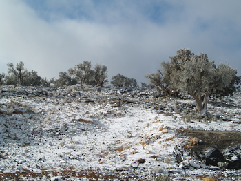 Naturschutzgebiet Al Jabal Al Akhdar für Landschaften
