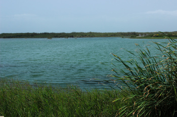 Reserva de Khor Taqah 
