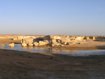 Reserva de Humedales