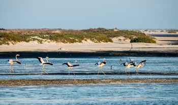 Naturreservat der Feuchtgebiete