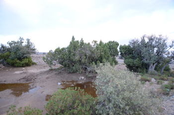 Reserva de Al Jabal Al Akhdar para Paisajes Naturales 