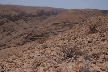 Réserve du Jabal Samhan  