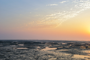 Naturreservat der Feuchtgebiete