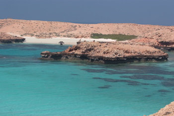Naturreservat Daymaniyat Inseln
