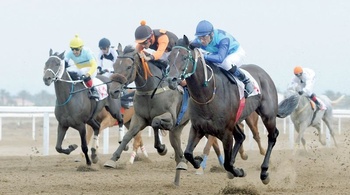 Caballos y Camellos