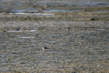 Naturreservat der Feuchtgebiete