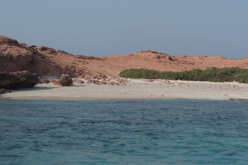 Réserve naturelle des îles Dimaniyat