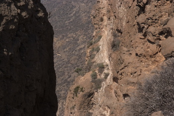 Reserva de Jabal Samhan