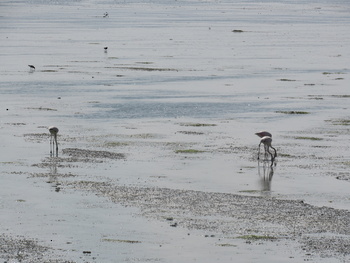 Reserva de Humedales