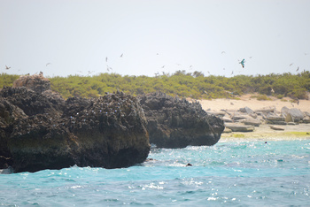 Naturreservat Daymaniyat Inseln