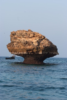 Réserve naturelle des îles Dimaniyat