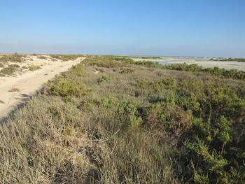 Naturreservat der Feuchtgebiete