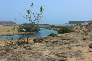 Naturreservat Khor Rori