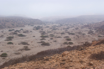 Reserva de Jabal Samhan