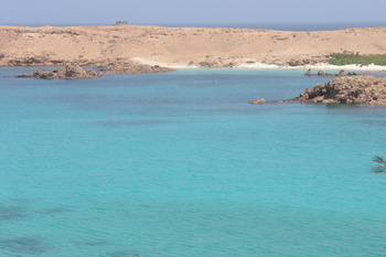 Naturreservat Daymaniyat Inseln