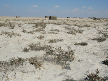 Réserve de zones humides