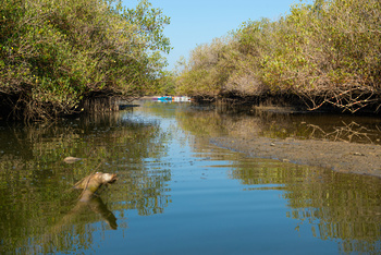 Reserva Natural de Al Qurm