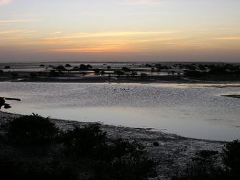 Naturreservat der Feuchtgebiete