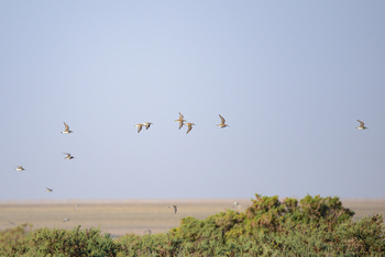 Naturreservat der Feuchtgebiete