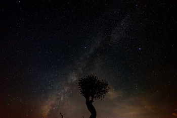 Al Jabal Al Gharbi Starlight Reserve