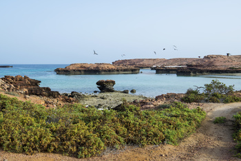 Naturreservat Daymaniyat Inseln