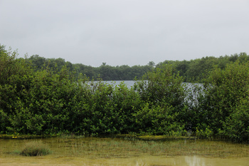 Naturreservat Khor Al Qurm Al Kabir