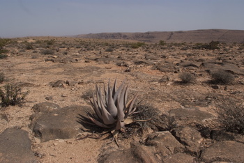 Naturreservat Jabal Samhan