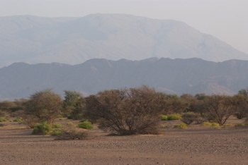 Reserva Natural de Al Saleel