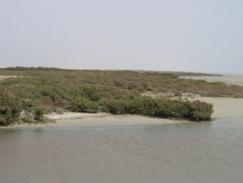 Naturreservat der Feuchtgebiete