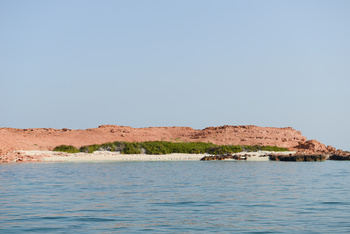 Naturreservat Daymaniyat Inseln